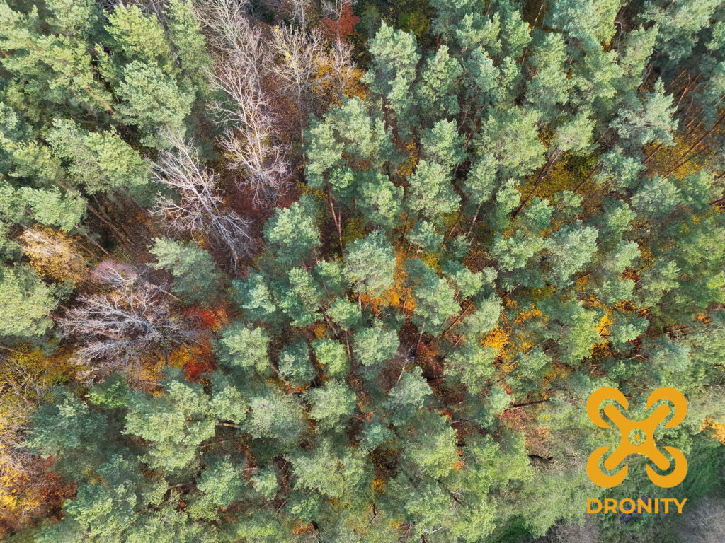 Precyzyjne zliczanie drzew dronem z wykorzystaniem sztucznej inteligencji